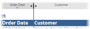 screen.reportviewer_resize_column.png